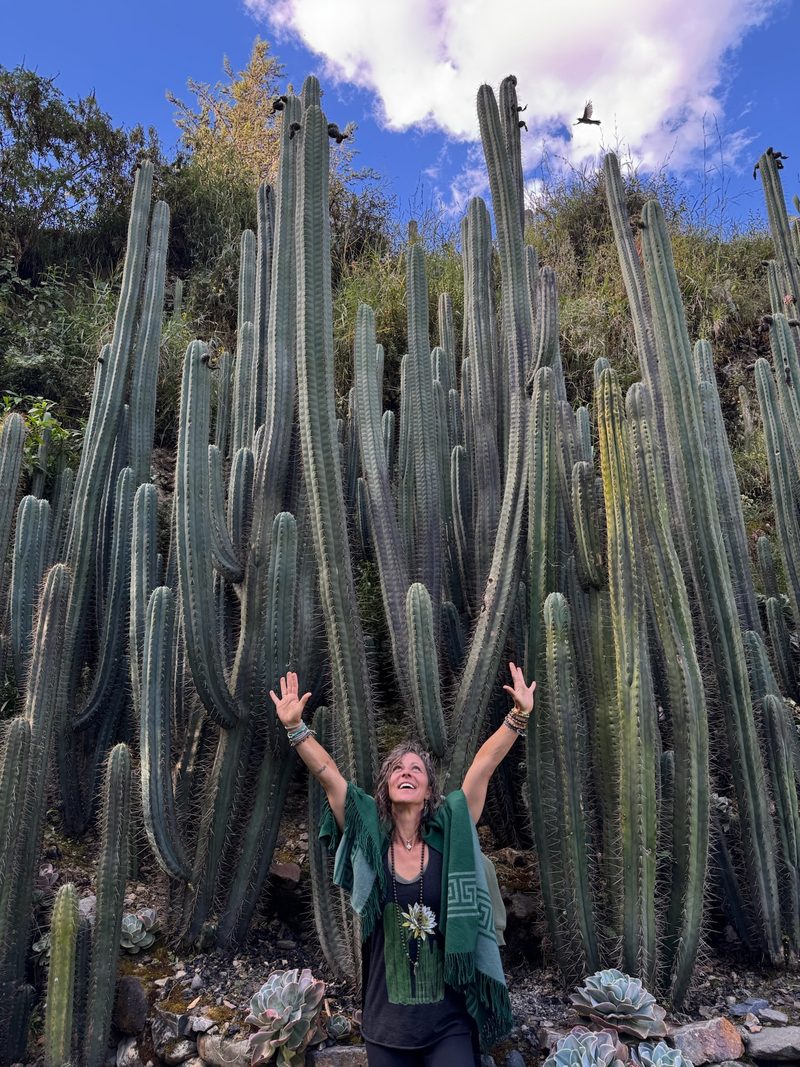 Dani Reardon standing with both arms raised below a steep hillside planted with hundreds of tall mature Huachuma columns, a hummingbird in flight above her, at a private garden near the temple at Chavín in northern Peru