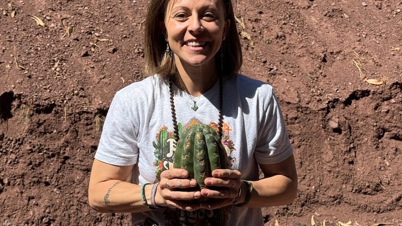 A person holding a short Huachuma cutting in both hands, the garden's red earth bank behind them