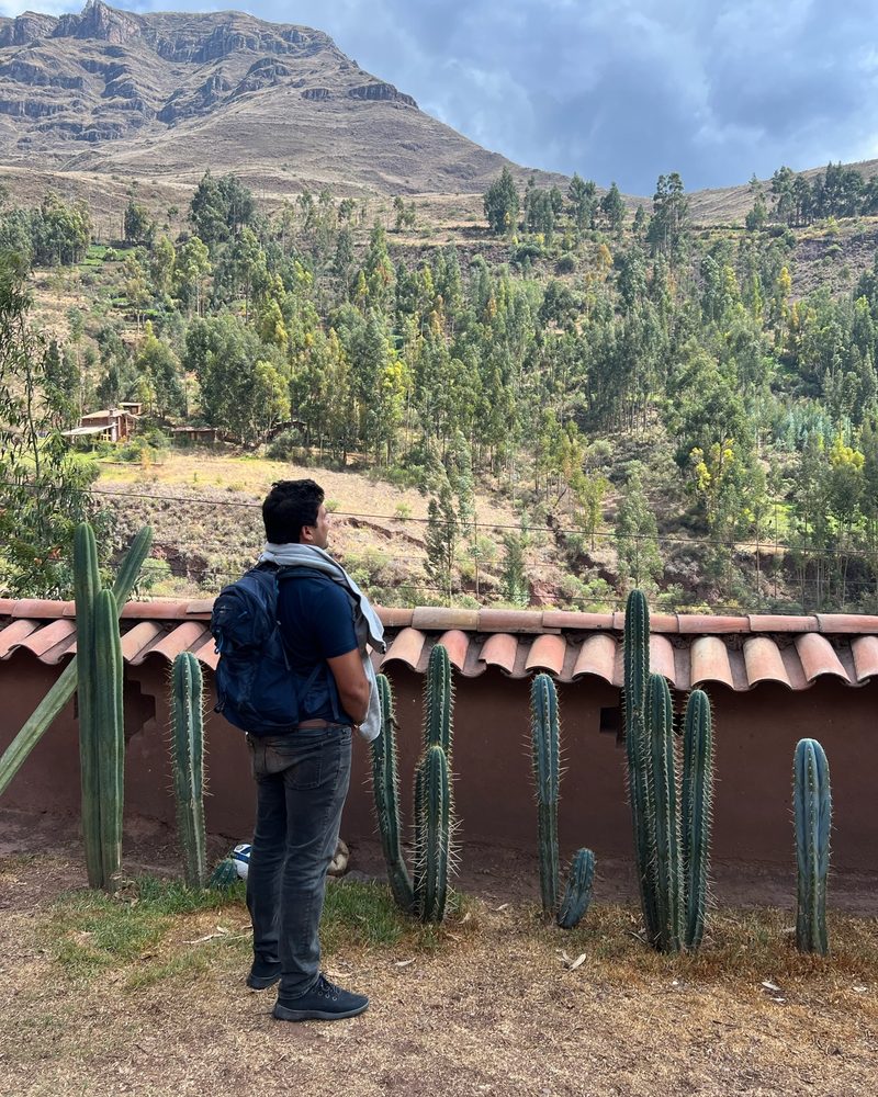 A person with a backpack standing at a low tiled wall lined with cactus, looking out over a eucalyptus wood and a bare mountain