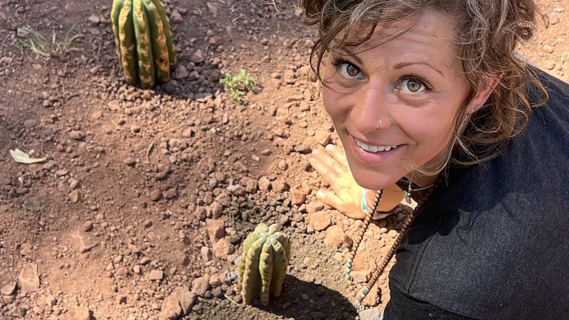 A person crouching with a hand on the earth beside a young Huachuma planting, looking up at the camera