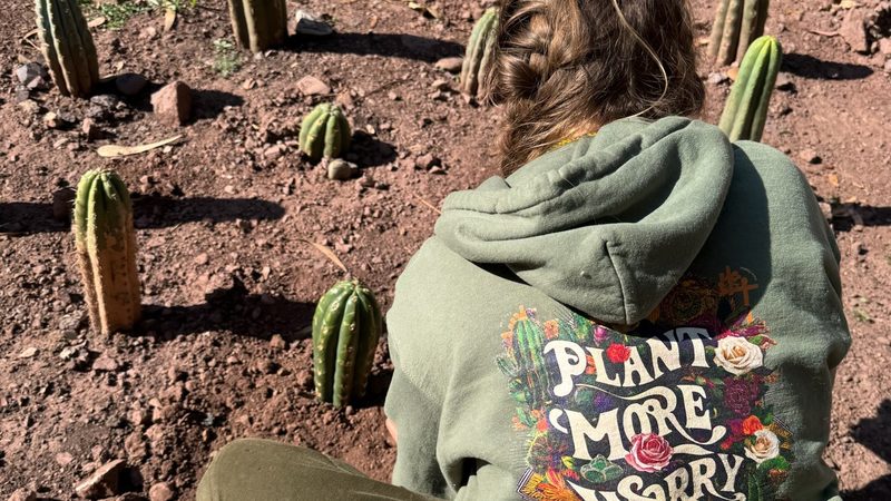 A green hoodie printed Plant More Worry Less, worn by someone seated among rows of young Huachuma plants in red earth
