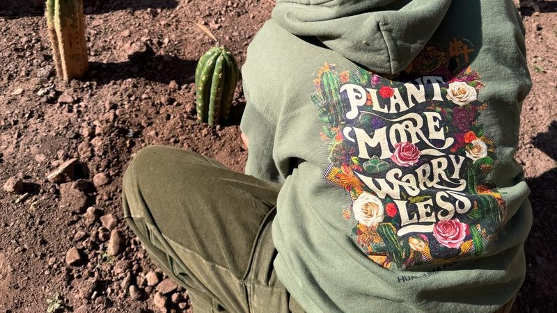 A green hoodie printed Plant More Worry Less, worn by someone seated among rows of young Huachuma plants in red earth