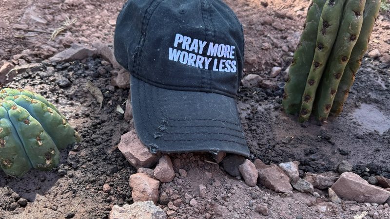 A black cap embroidered Pray More Worry Less resting on the earth beside a newly planted Huachuma cutting