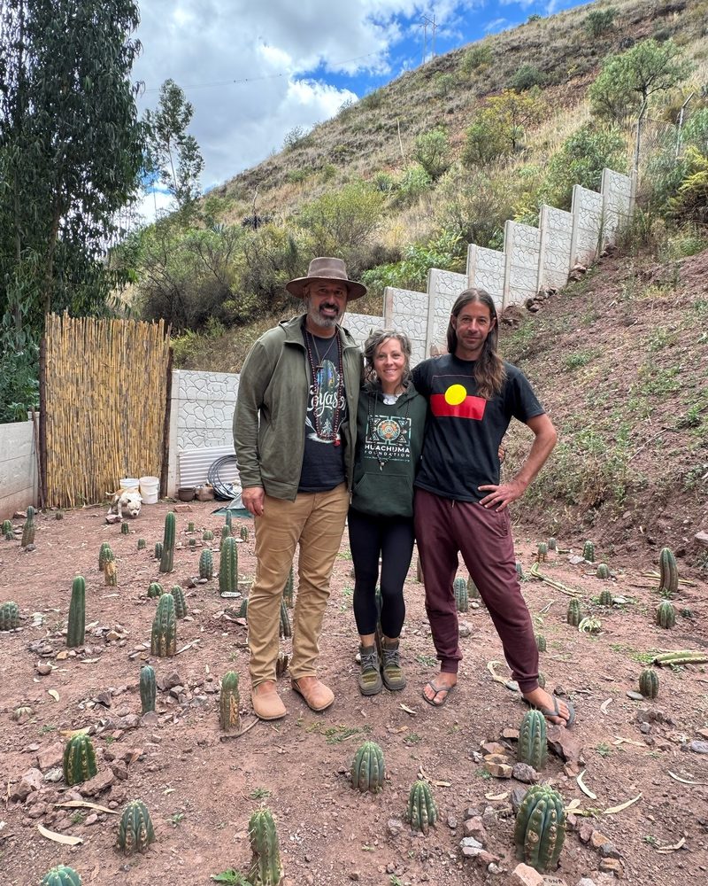 Three people standing together among rows of young Huachuma plants, the garden wall climbing the hill behind