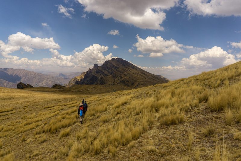 A small group walking a faint path through tall pale tussock grass toward a steep pyramid shaped peak
